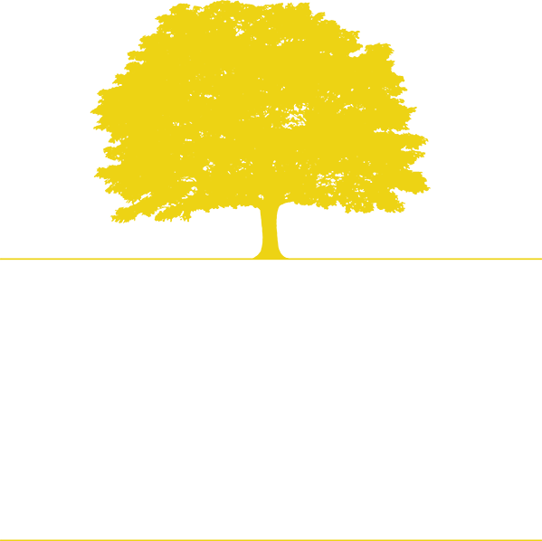 Out of the Woods